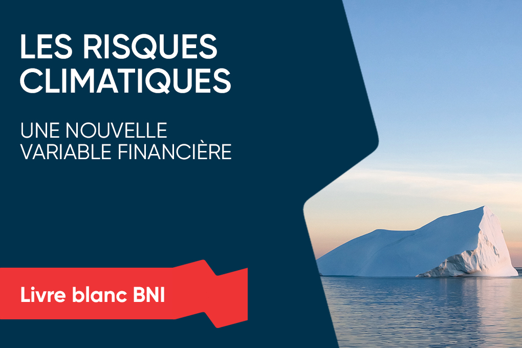 Banquise flottante dans la mer