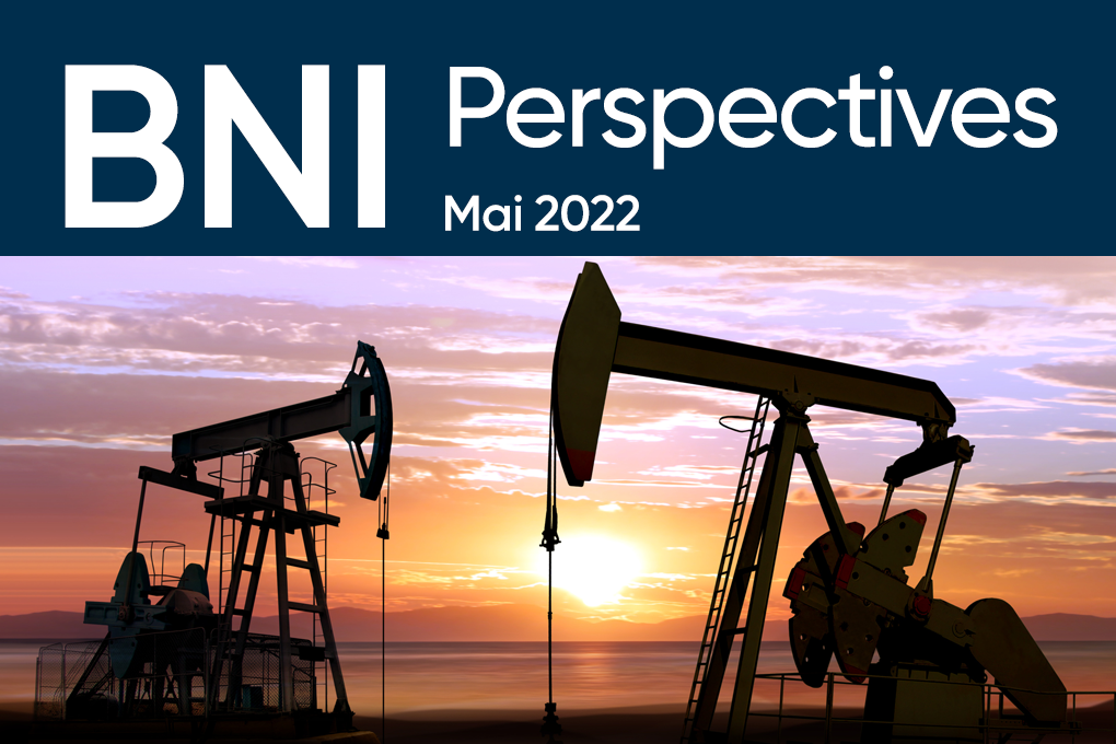 texte Perspectives BNI – Mai 2022