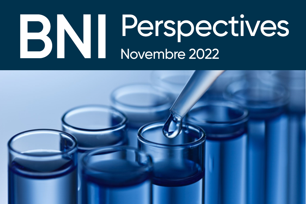 Bulletin Perspectives BNI – Novembre 2022