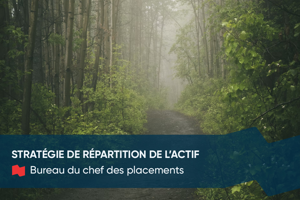 Image de brouillard dans la forêt