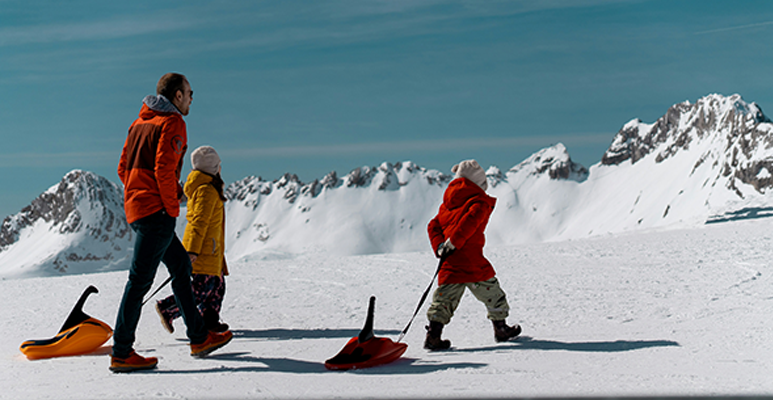 Image de brouillard dans la forêt