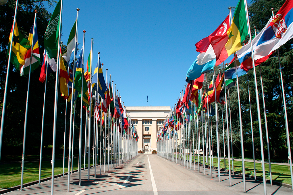 Une rangée des drapeaux de l'ONU