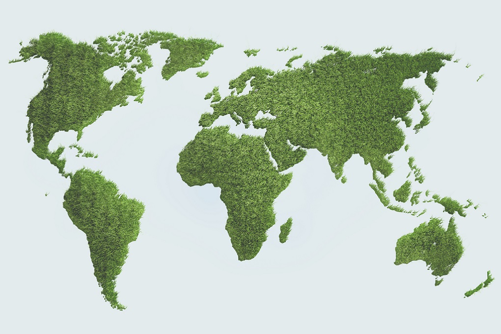 Carte du monde constituée d’arbres