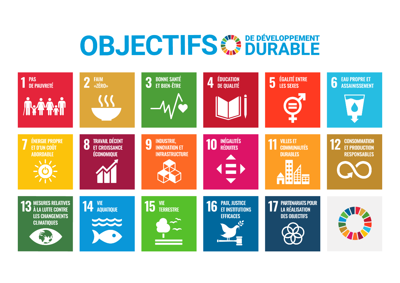 Tableau des SDGs: Les 17 Objectifs de développement durables des Nations Unies